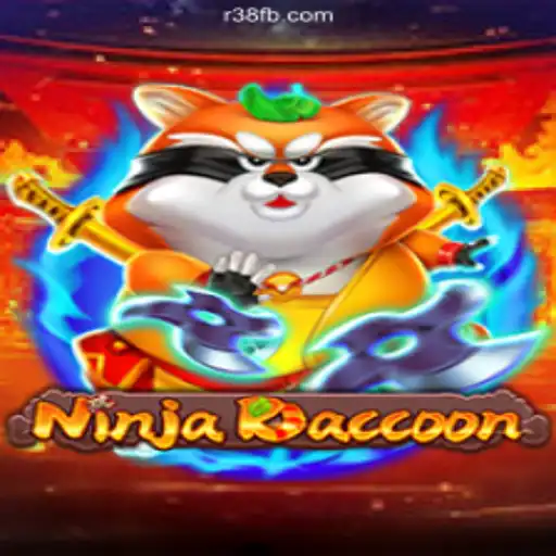 NinjaRaccoon